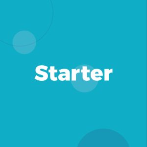 Monthly Website <b>Maintenance Starter</b>